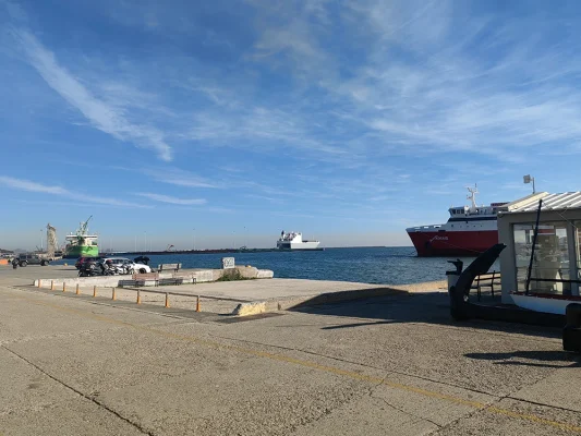 Foto: T. Vujić Tubić